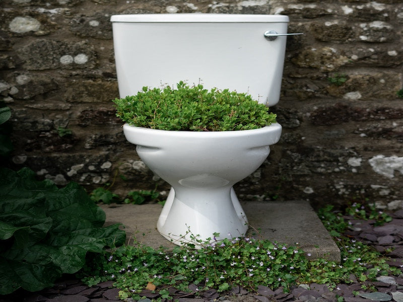 Will Wright Unsplash _ duurzaam en groen op de wc 